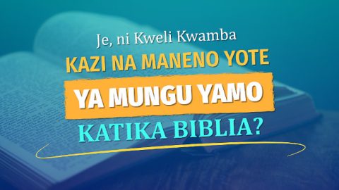 Je, ni Kweli Kwamba Kazi na Maneno Yote ya Mungu Yamo Katika Biblia?